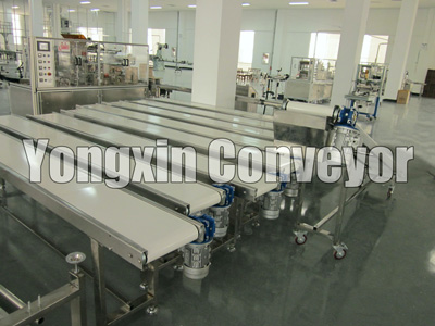 Belt Conveyor