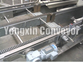 Chain Conveyor Line